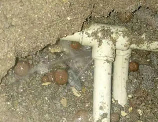 青神卫生间测漏