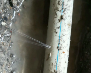 青神卫生间测漏水多少钱
