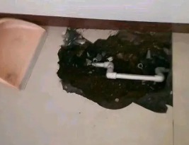 青神卫生间测漏水多少钱